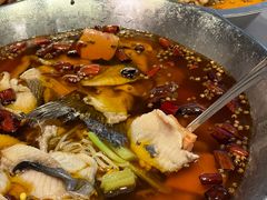 -沸腾鱼乡(知春路分店)