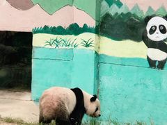 -临沂动植物园