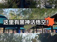 -杨柳青庄园