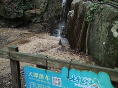 -七仙岭温泉国家森林公园
