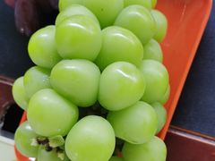 -马陆小张葡萄园农家乐