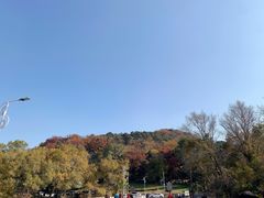 -棋盘山风景区
