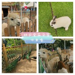 -萌宠亲子动物乐园(槐房万达店)