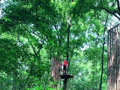 -WeLope紫金山探险公园