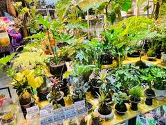 -花鸟鱼虫鲜花绿植市场(玉泉路店)