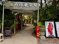 -芭厘·农庄老字号.电饭煲五指毛桃焗鸡