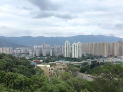 -金鸡山公园