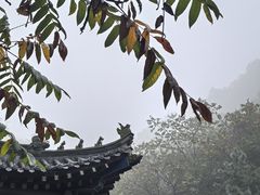 -赤山风景区