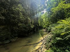 -怀托摩萤火虫洞