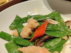-觅唐MITONG(鸟巢店)