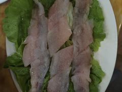那哥鱼-金砂阿洲鱼册店
