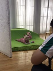 点击看大图 -哈尼Honey baby 儿童摄影(立丰国际公寓店)