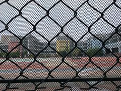 -北京第二实验小学