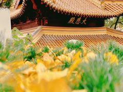 -狼山风景名胜区