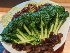 -额尔敦草原涮羊肉·烧烤(冻青树总店)