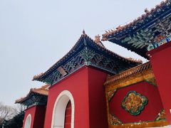 -北陵公园