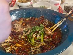 -渔香岛美蛙鱼头火锅(威清路店)