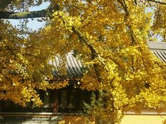-灵谷景区