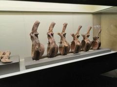 -世界恐龙谷景区