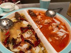 -姚姚酸菜鱼·金戈戈香港豉油鸡(喜荟城联名店)