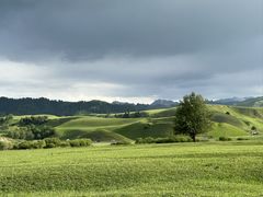 -新疆那拉提国家旅游度假区