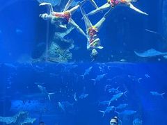 -多彩贵州城极地海洋世界