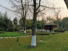 -成飞公园