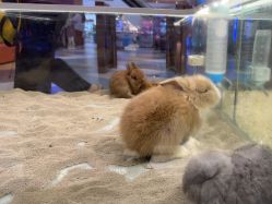 点击看大图 -meland亲子乐园•派对•研学(苏州悠方购物中心店)