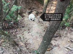 -绩溪龙川景区