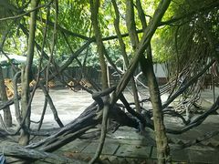 -月圆霖特色农家乐