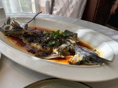 豆豉蒸鲟龙鱼-万龙洲海鲜(大兴绿地缤纷城店)