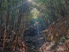 -鄣山大峡谷