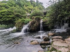 -花溪公园