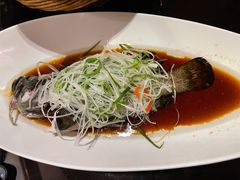 清蒸龙趸斑-外高桥喜来登酒店采悦轩
