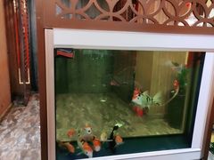 -满禾林火锅(丹东路店)
