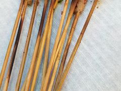 -纪录片《人生一串》体验店(静安店)