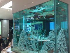 -崇光百货(铜锣湾店)