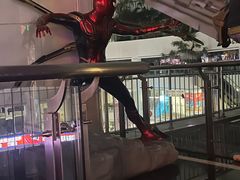 -飞扬影城(正佳IMAX店)