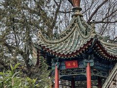 -《12·12》西安事变大型实景演出