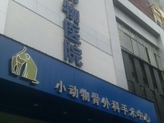 -瑞鹏宠物医院·爱宠堂·骨外专科(西荷分院)