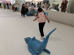 -TheRink大零溜冰场(IFS国金中心店)