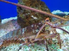 -海合安武汉极地海洋公园