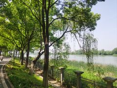 -金银湖国家城市湿地公园