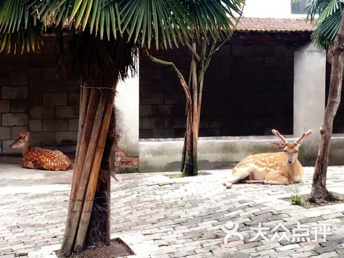 鹿鸣庄园图片 - 第2张