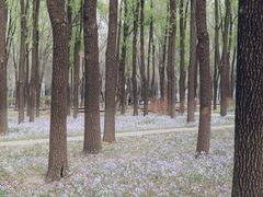 -将府公园