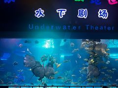 -泉城欧乐堡海洋极地世界