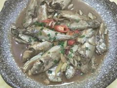-梅子大排档