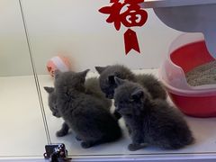 -METAL HANDS(五道营店)