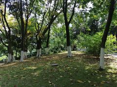 -百林公园-两江幸福广场