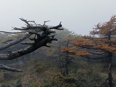-秦岭风景区